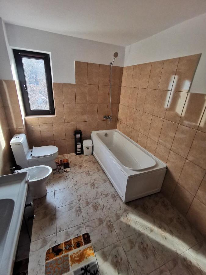 Appartement Mister Guest à Nehoiu Extérieur photo