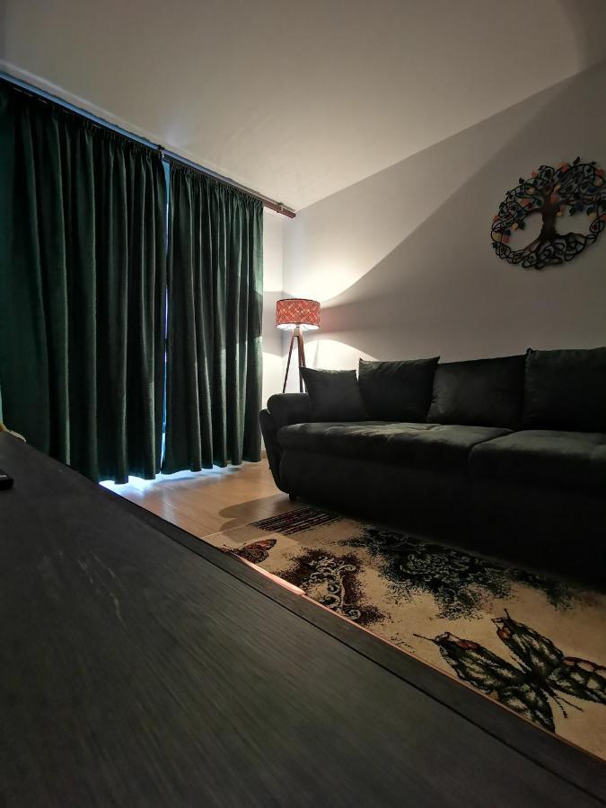 Appartement Mister Guest à Nehoiu Extérieur photo