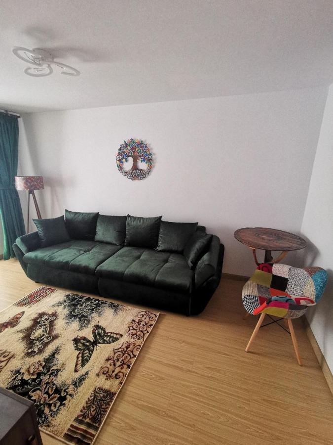 Appartement Mister Guest à Nehoiu Extérieur photo