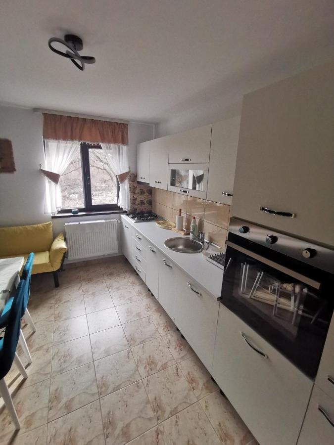 Appartement Mister Guest à Nehoiu Extérieur photo