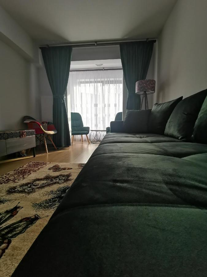 Appartement Mister Guest à Nehoiu Extérieur photo