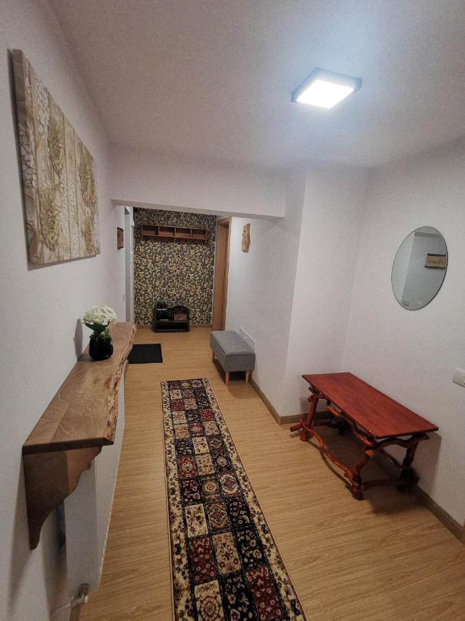 Appartement Mister Guest à Nehoiu Extérieur photo