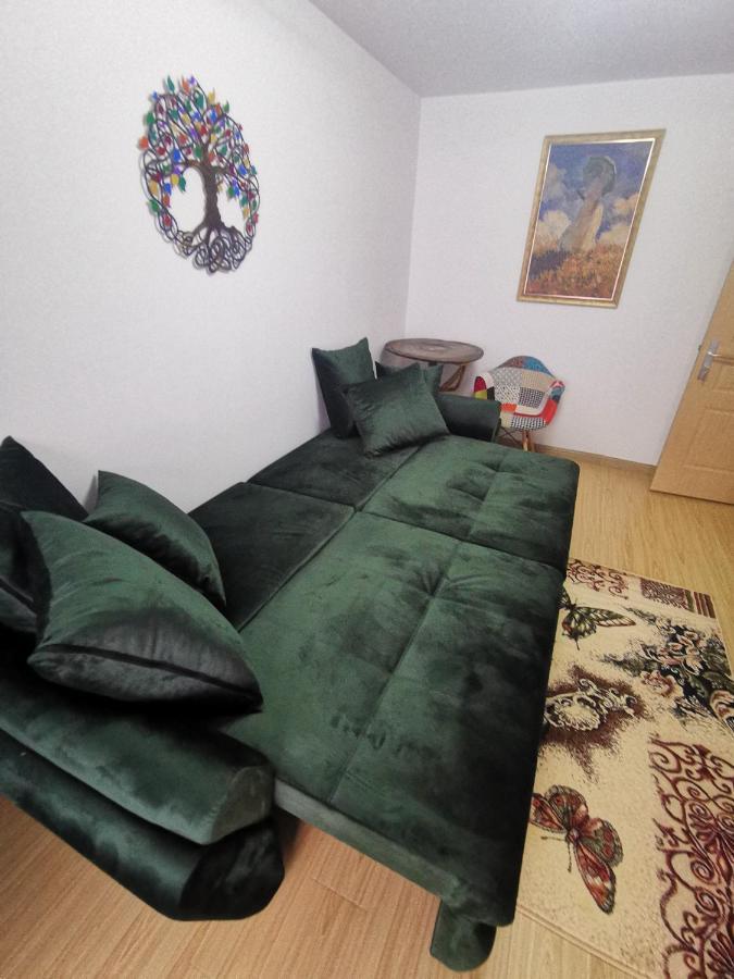 Appartement Mister Guest à Nehoiu Extérieur photo