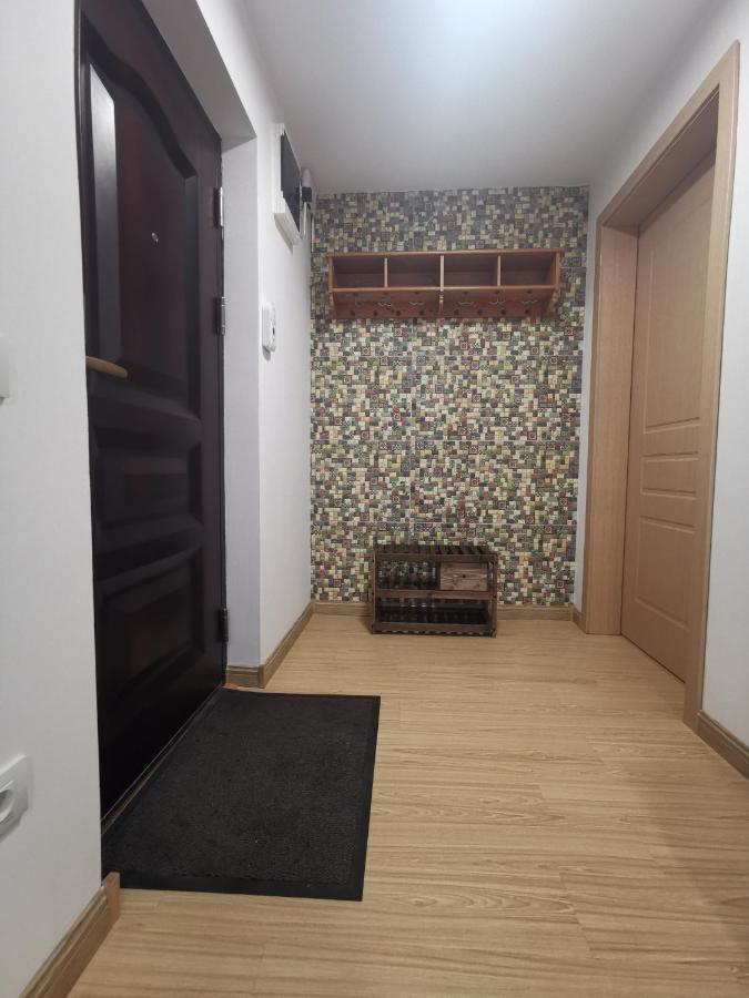 Appartement Mister Guest à Nehoiu Extérieur photo