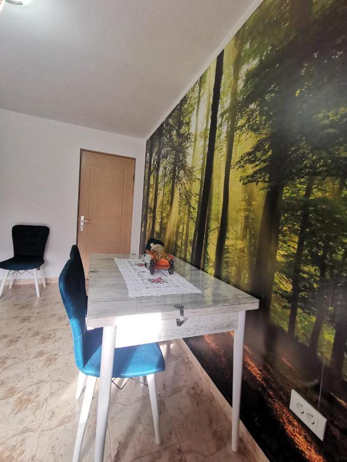 Appartement Mister Guest à Nehoiu Extérieur photo