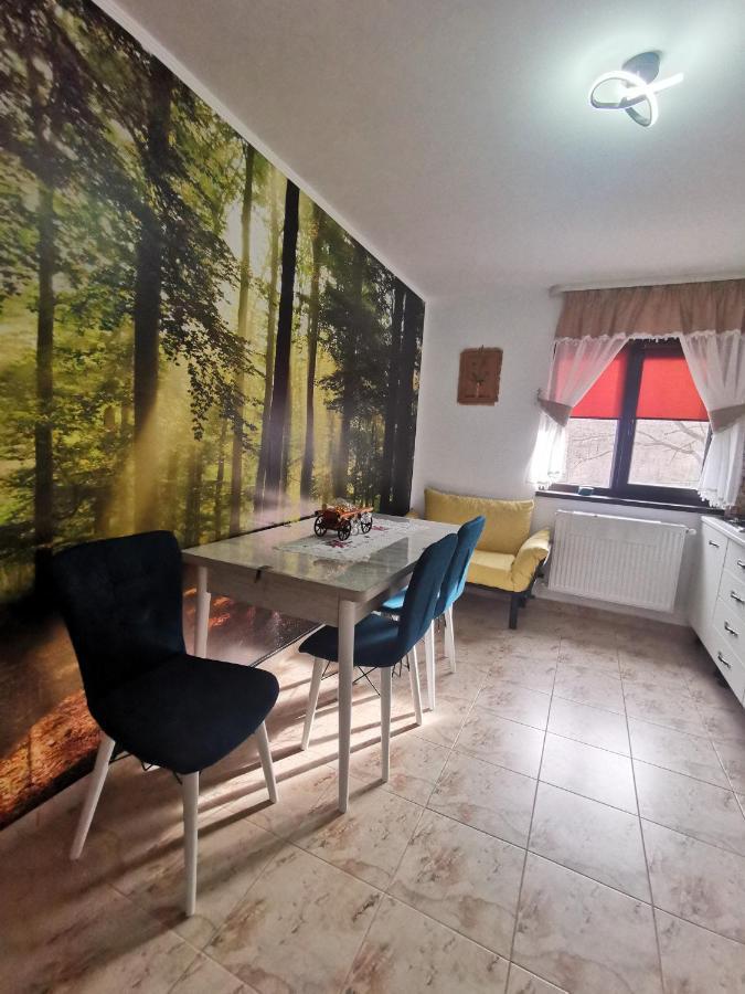 Appartement Mister Guest à Nehoiu Extérieur photo